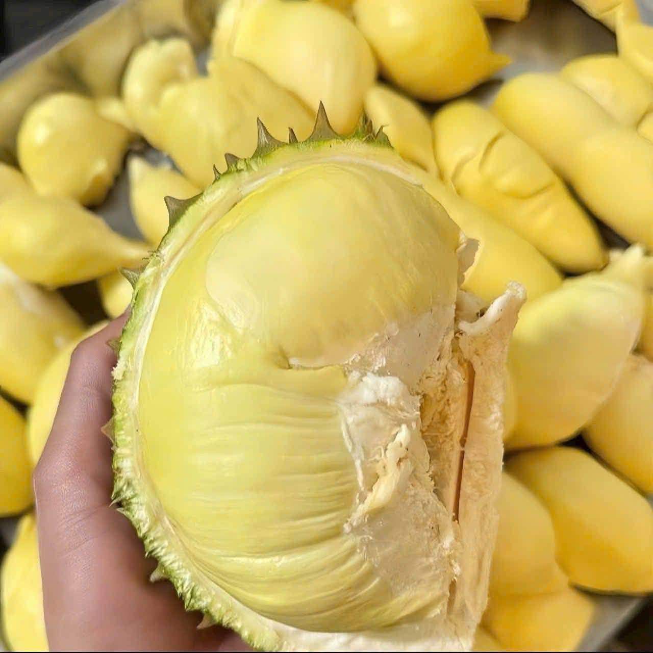 Sầu riêng đổ bộ Hà Nội với giá chỉ từ 35.000 đồng/kg, nhà vườn tiết lộ nguồn gốc - 4