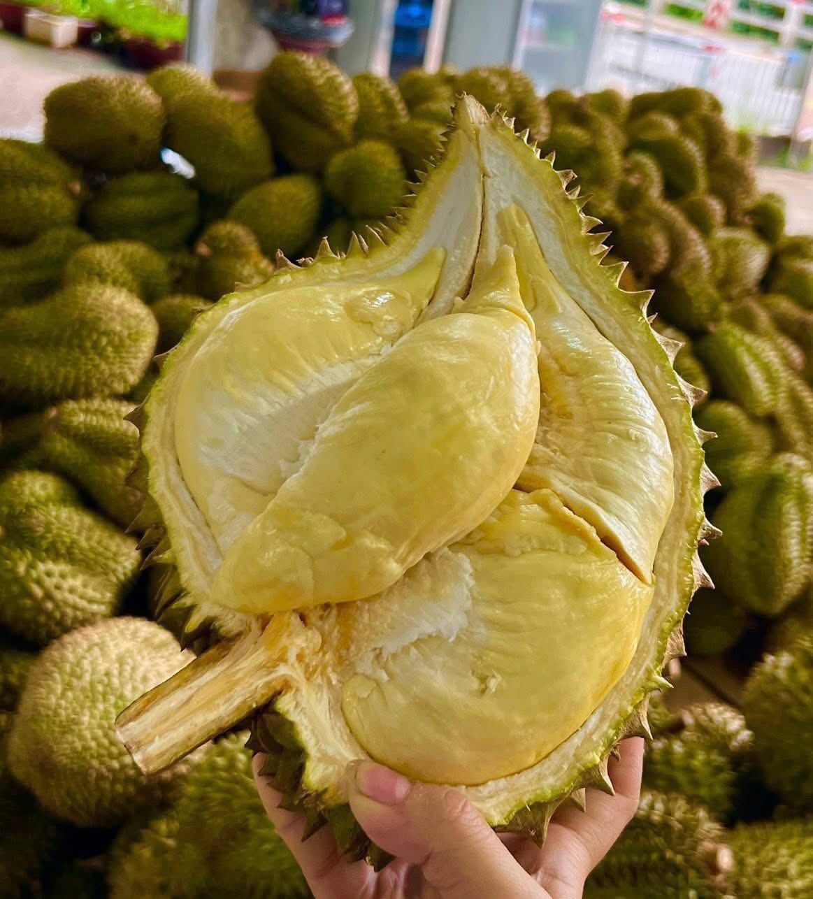 Sầu riêng đổ bộ Hà Nội với giá chỉ từ 35.000 đồng/kg, nhà vườn tiết lộ nguồn gốc - 5