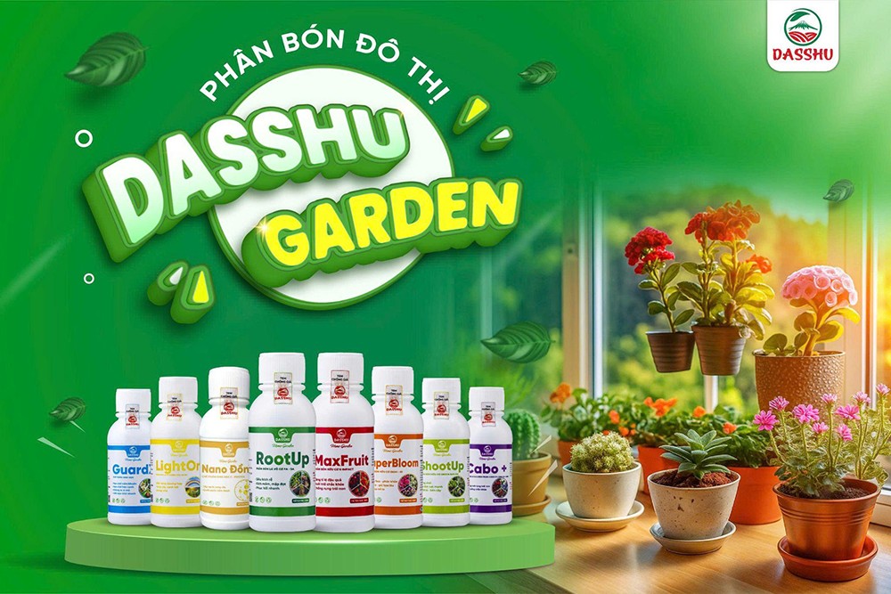 Dasshu ra mắt bộ sản phẩm phân bón đô thị Dasshu Garden - 1