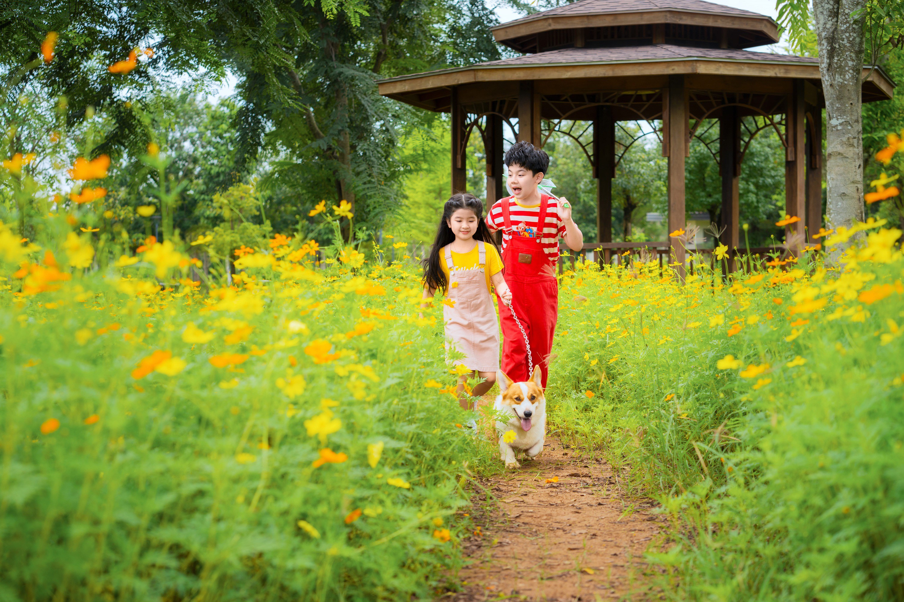 Sống tại Solaria Rise – Tổ ấm của cha mẹ, thế giới khám phá của con - 5