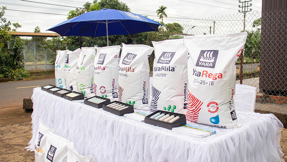 Khoa học dinh dưỡng kết hợp bàn tay nhà nông tạo nên mùa sầu riêng bền vững đầu tiên - 2