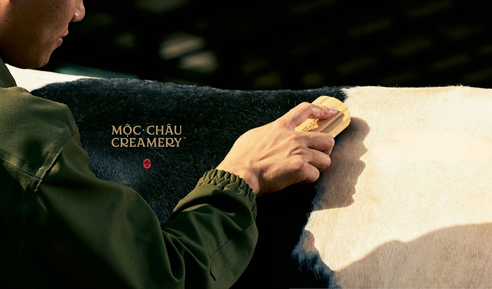 Diện mạo mới – Khởi tạo một chương mới của thương hiệu sữa gần 7 thập kỷ - 3