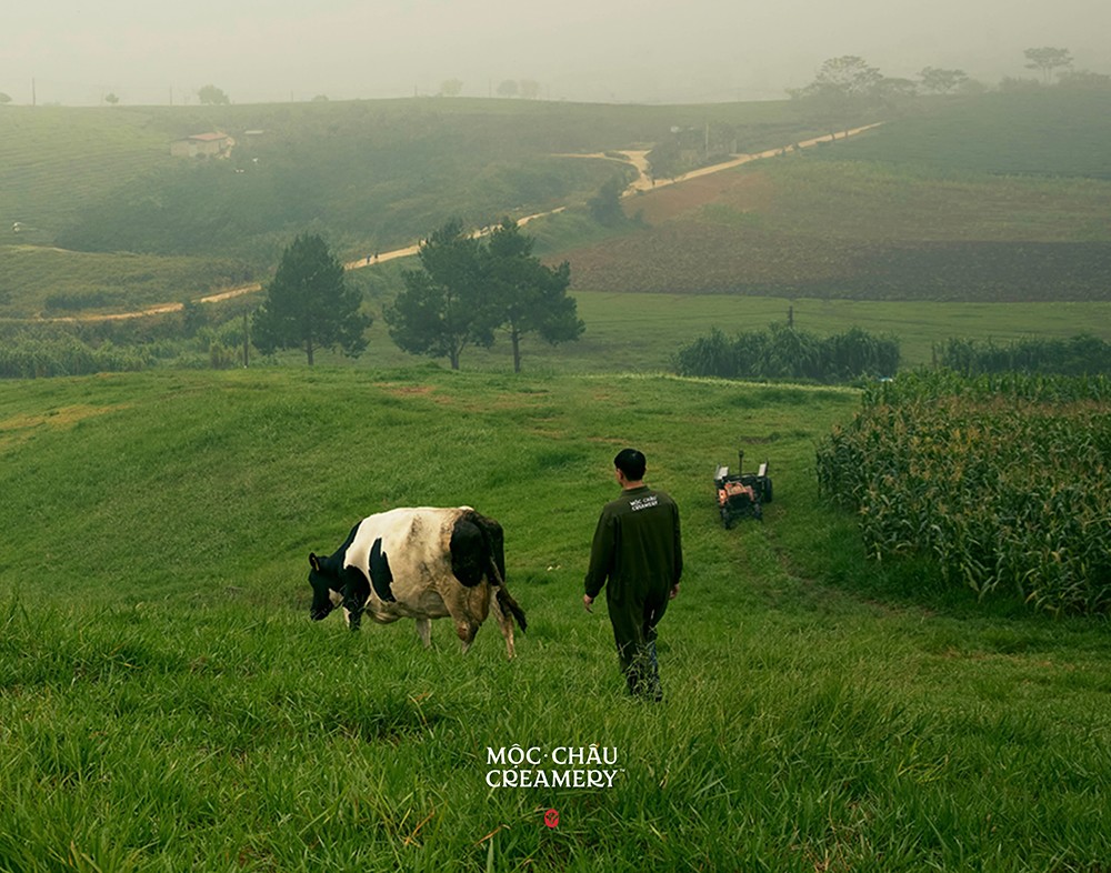 Diện mạo mới – Khởi tạo một chương mới của thương hiệu sữa gần 7 thập kỷ - 2