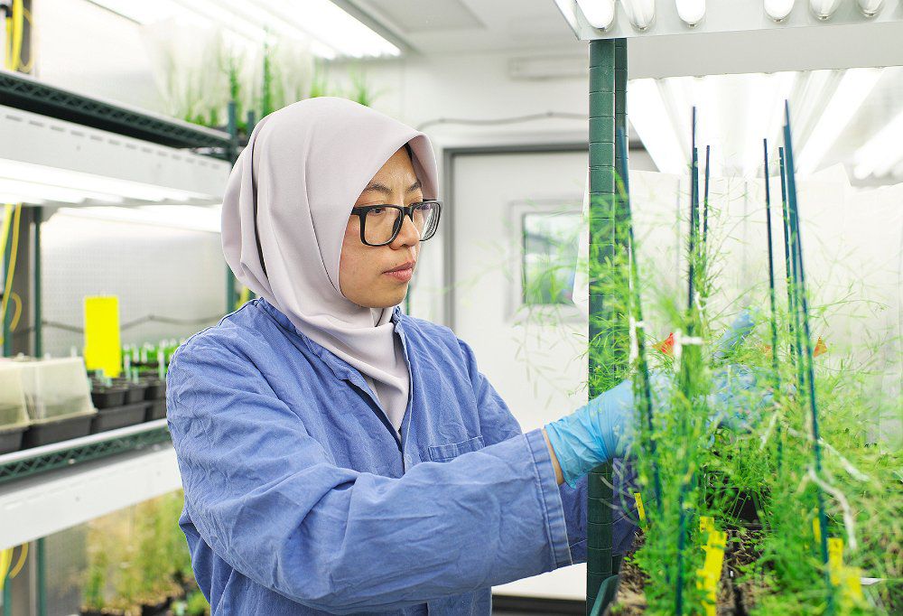 Các nhà khoa học hàng đầu thế giới hiến kế nuôi sống 10 tỷ người tại Tuần lễ Khoa học Công nghệ VinFuture 2025 - 2