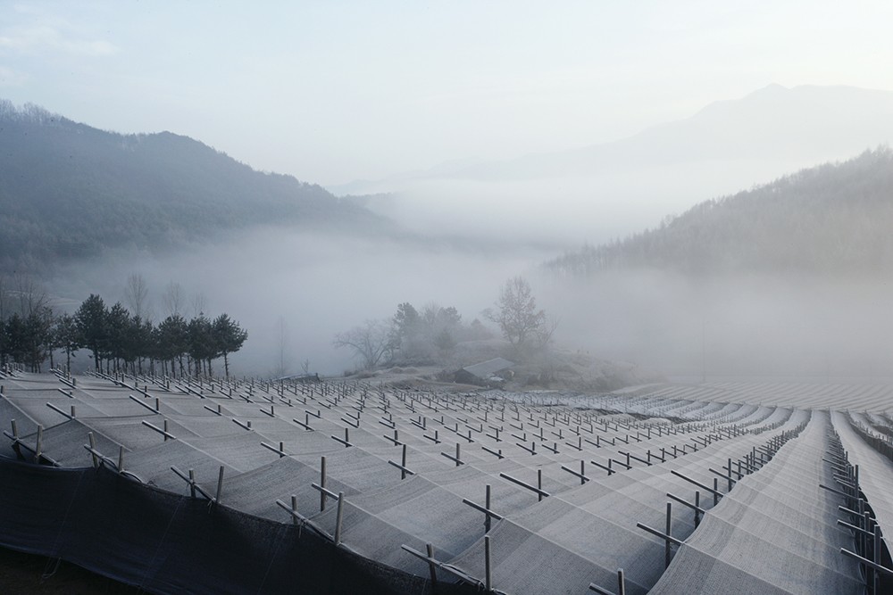 Nhân sâm Cao Ly lan tỏa xu hướng K-Healthcare tại hội chợ TP. Hồ Chí Minh - 2