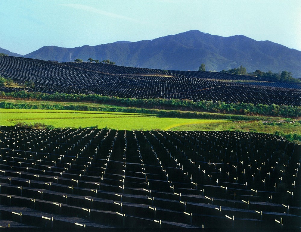 Nhân sâm Cao Ly lan tỏa xu hướng K-Healthcare tại hội chợ TP. Hồ Chí Minh - 3