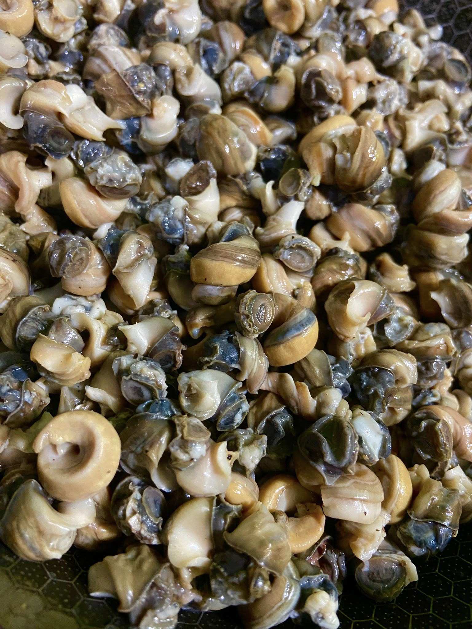 Chả ốc lót lá chuối thơm nức, món ăn dân dã vạn người mê - 2