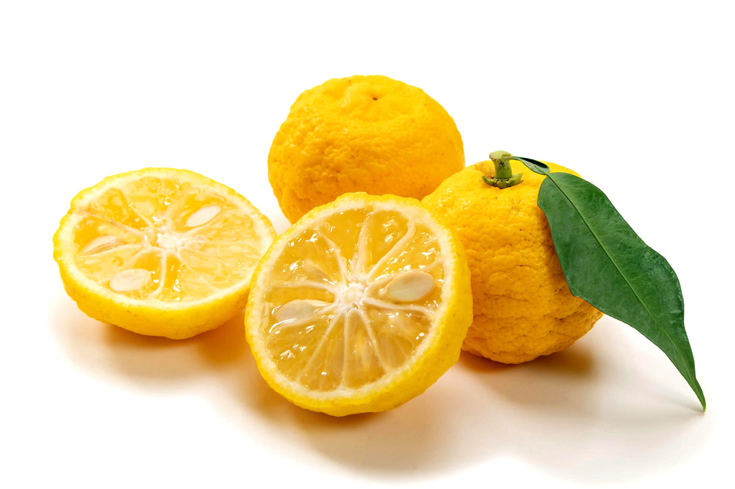 Khám phá hương vị Nhật Bản cùng Trà Mật Ong BONCHA Chanh Nhật Yuzu - 1