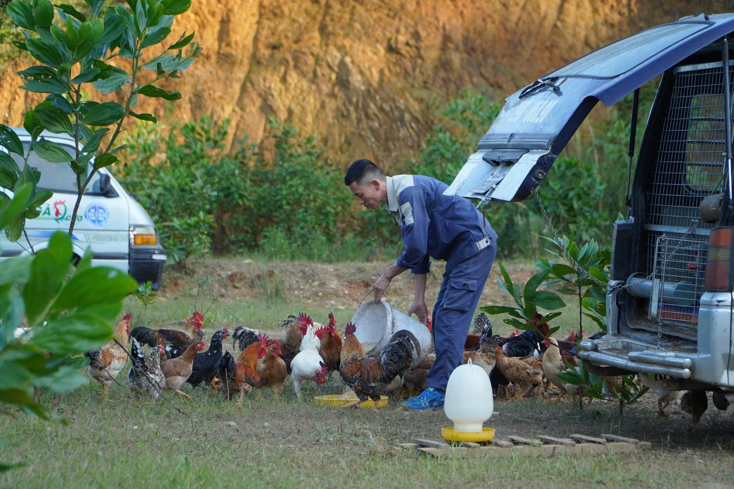 8x Phú Thọ mua ô tô làm chuồng nuôi con vật có trong truyền thuyết, kết quả bất ngờ - 4