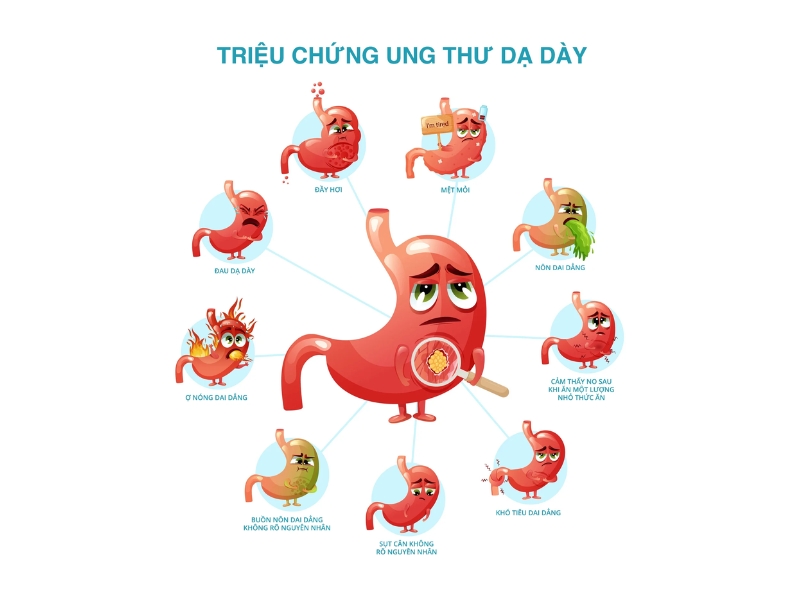 Xu hướng gia tăng ung thư dạ dày: Ẩn họa từ thói quen ăn uống thiếu lành mạnh - 2