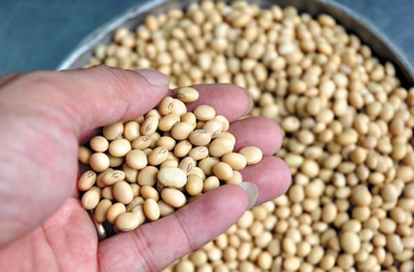 Món ăn từng bị lãng quên giúp khớp cử động trơn tru như tra dầu! - 1