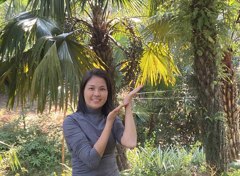 Loại quả quê mùa bỗng "lên cơn sốt" có giá đắt hơn thịt lợn, hái một cây kiếm cả triệu đồng - 5