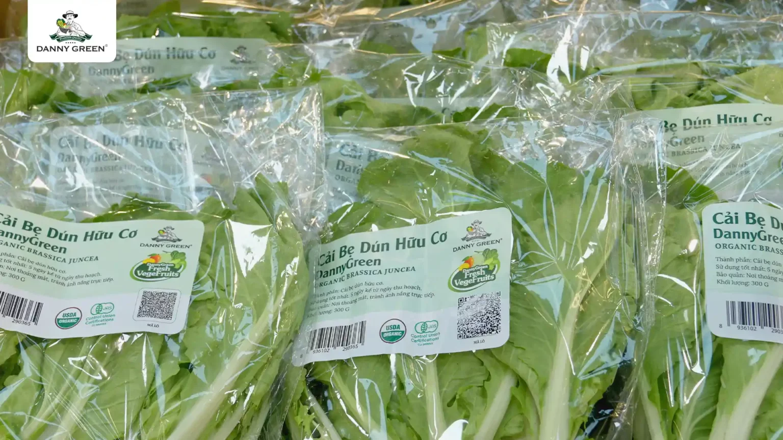 DannyGreen mở rộng quy mô cung ứng rau xanh bình ổn thị trường - 3