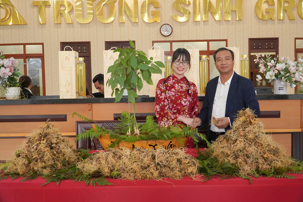 Trường Nhân: Bước tiến mới trong hành trình mang Sâm Ngọc Linh đến gần hơn với người Việt - 2
