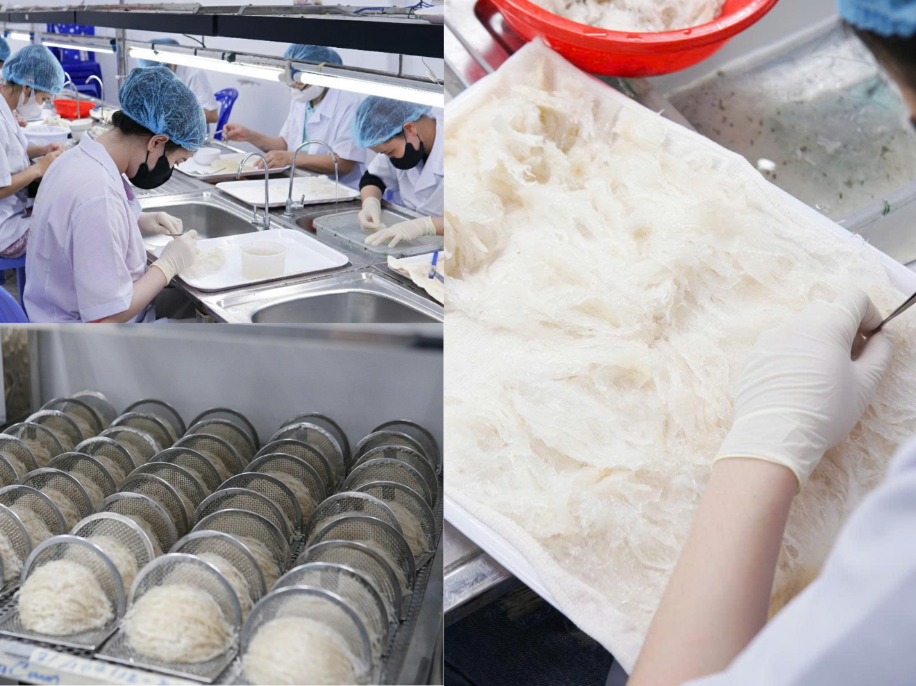 Thượng Long Yến - Thương hiệu yến sào uy tín, chất lượng tại Việt Nam - 2