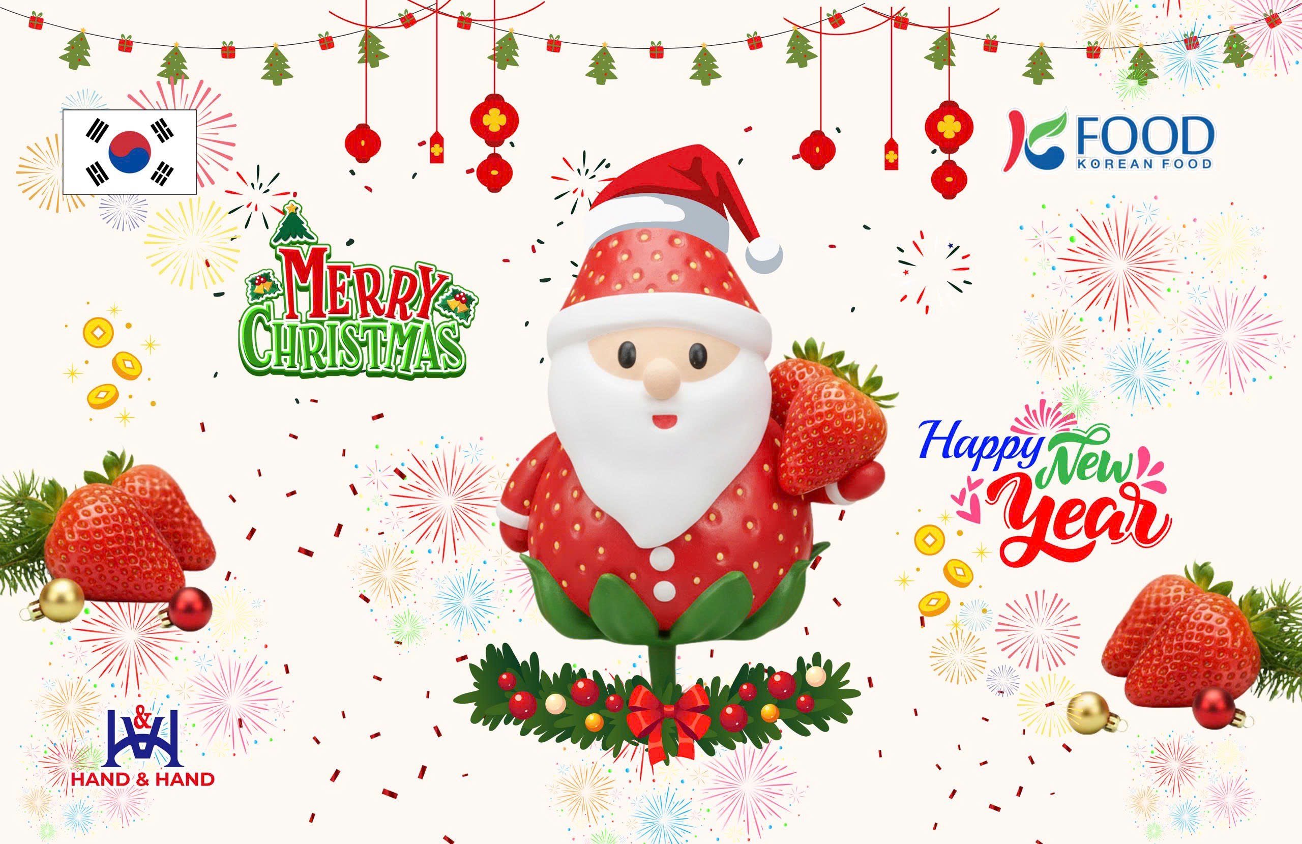 Dâu tây Hàn Quốc – Trái cây mùa đông giàu vitamin, lựa chọn lý tưởng cho Giáng Sinh và năm mới - 3