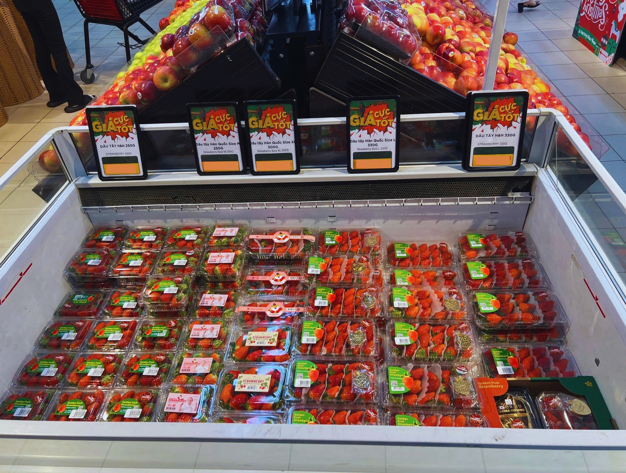 Dâu tây Hàn Quốc – Trái cây mùa đông giàu vitamin, lựa chọn lý tưởng cho Giáng Sinh và năm mới - 5