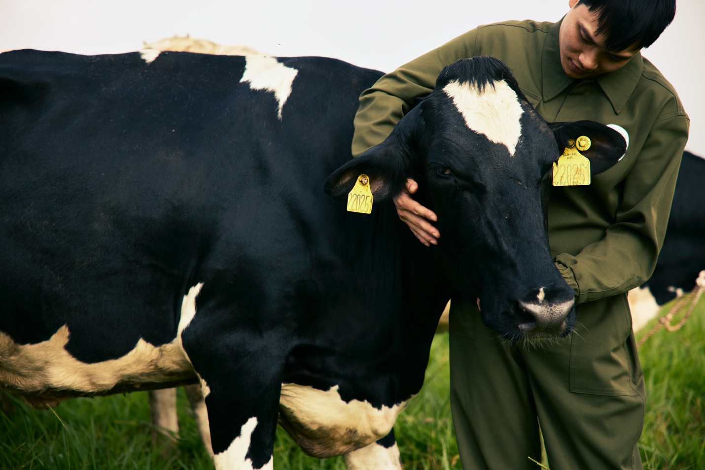 Mộc Châu Creamery - mở ra một bình minh mới cho di sản sữa ngon - 3