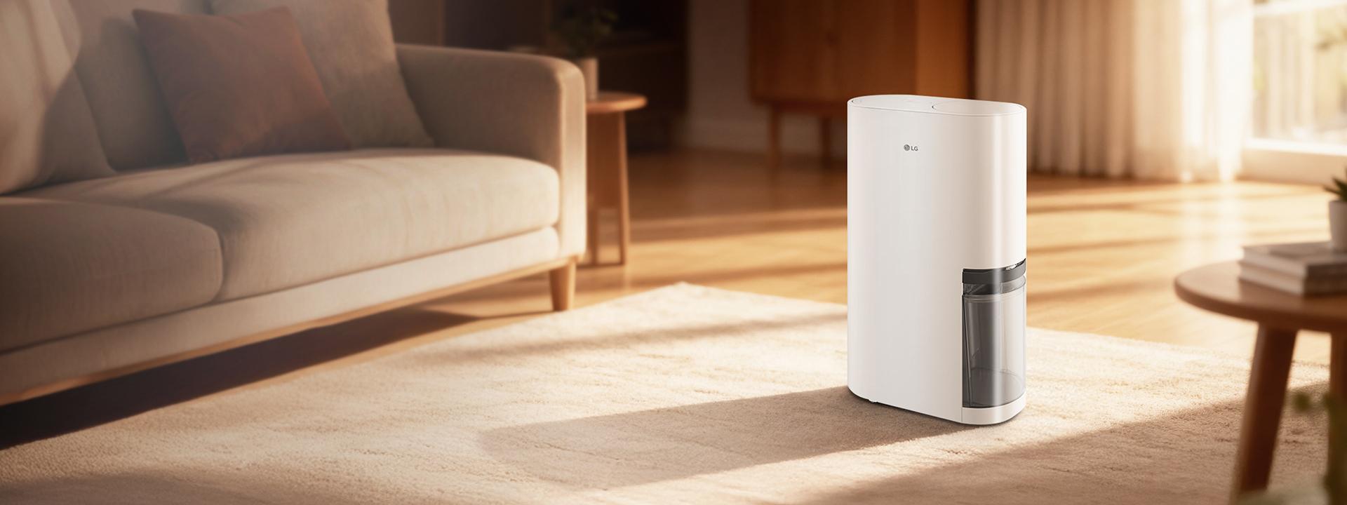 Bụi mịn dày đặc, mùa nồm cận kề: Những giải pháp cải thiện không khí đáng mua cho tổ ấm - 5