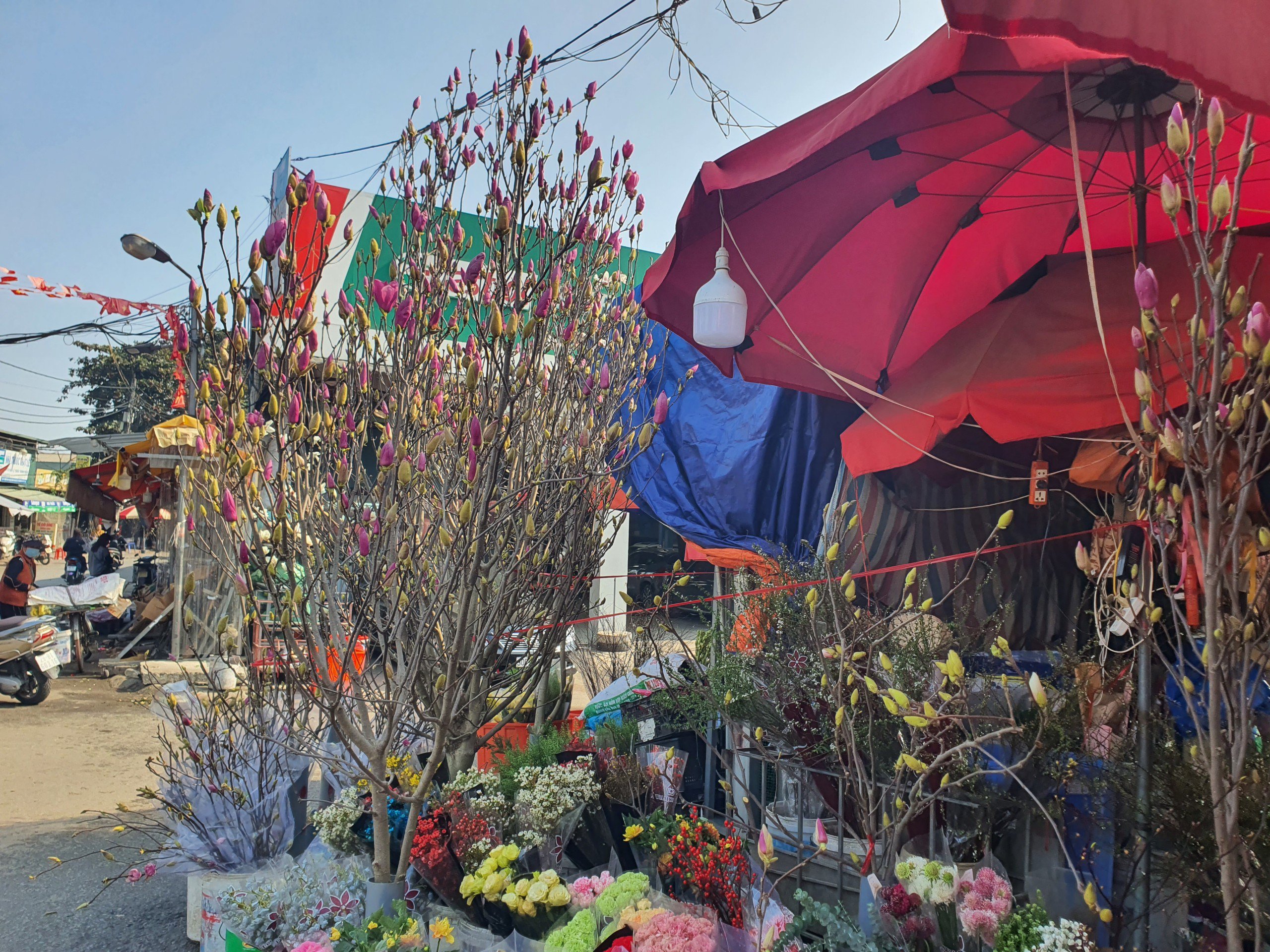 Loại hoa của Trung Quốc “đổ bộ” chợ Hà Nội, chị em “thi nhau” mua về cắm với giá hàng triệu đồng/cành - 1