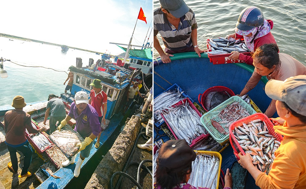 Trao “lộc biển”, Bivina cùng dân miền biển vững vàng trên hành trình mới - 2