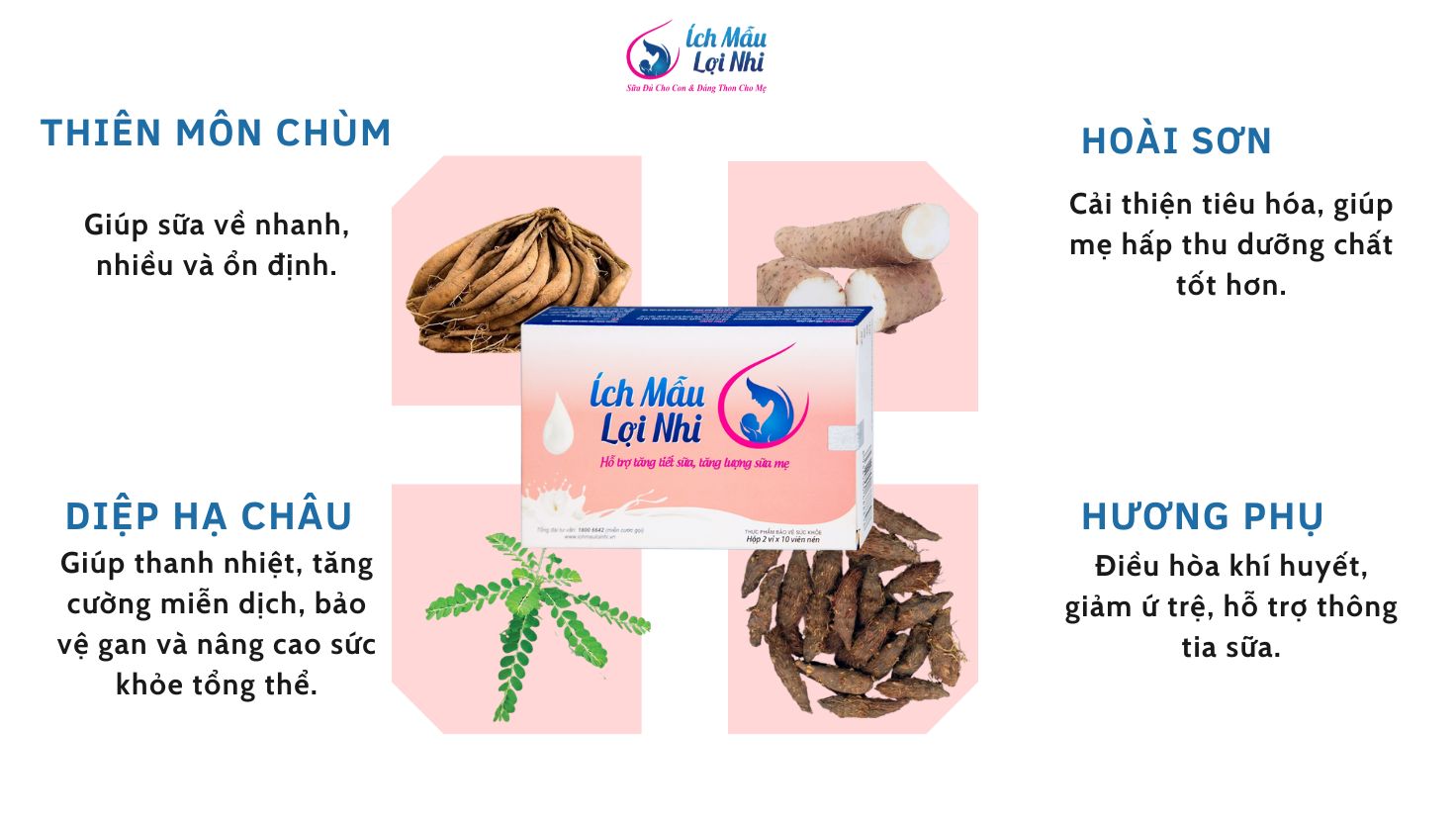 Kỳ lạ loài cây “trăm chồng” giúp hỗ trợ tăng tiết sữa, lợi sữa cho mẹ sau sinh - 4