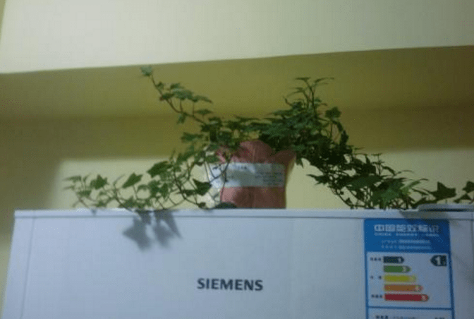 Trên tủ lạnh xuất hiện 4 hiện tượng này, cẩn thận tài vận đi xuống, gặp vận rủi hết lần này đến lần khác - 4