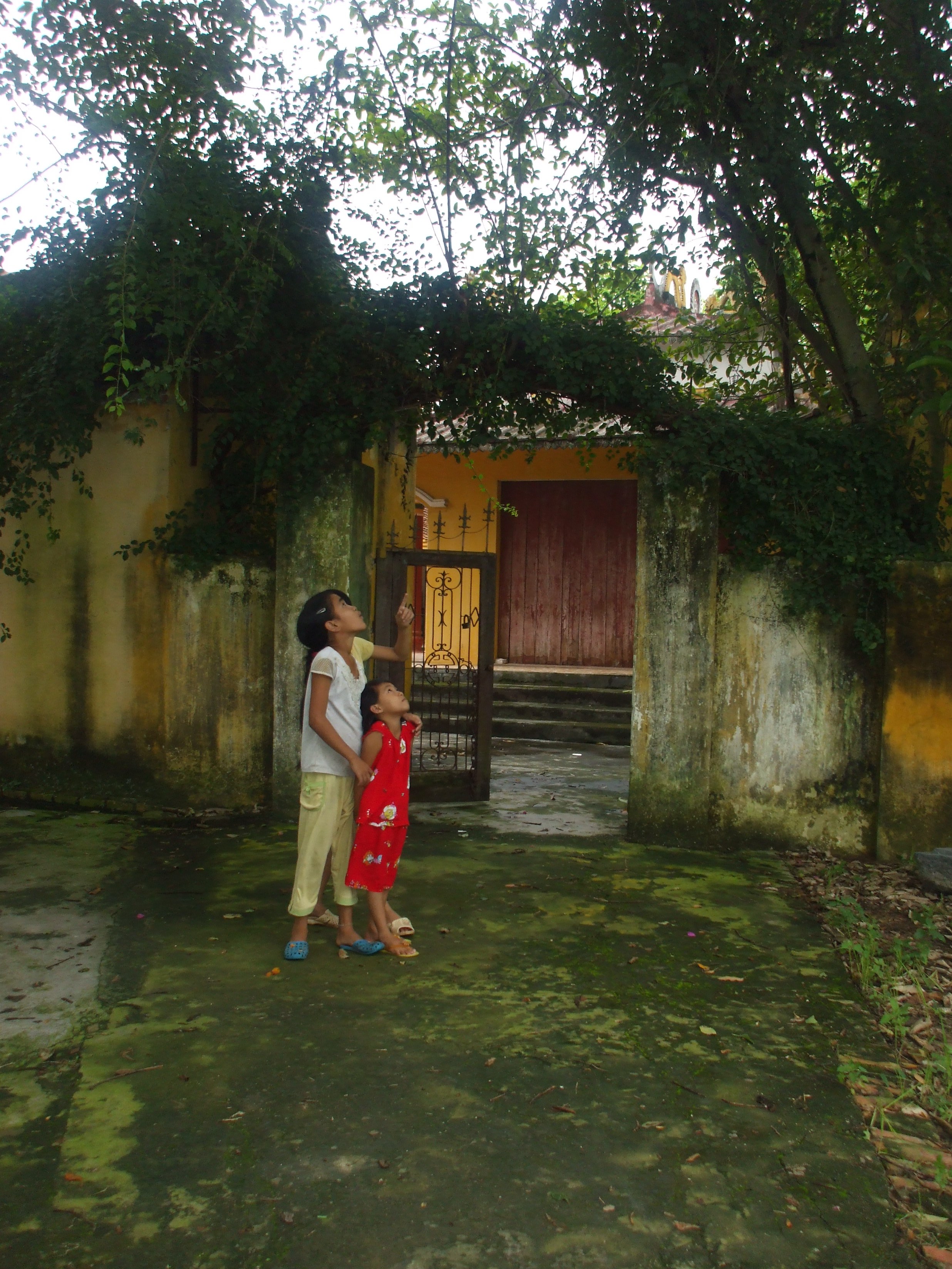 Tìm về làng Hoa Đường xưa - 1