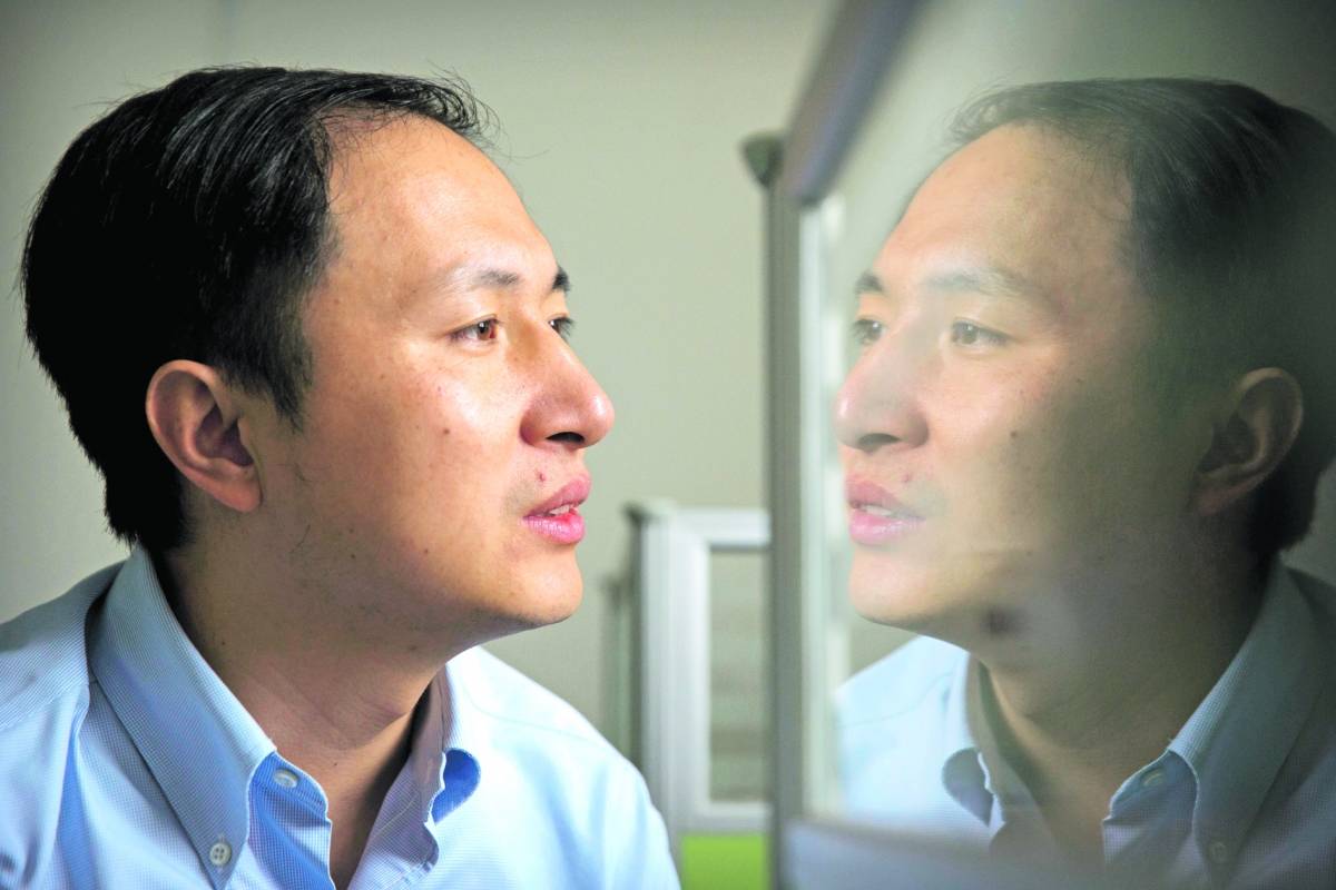 Hói đầu mà biết thảo dược này, tóc mọc nhanh lại chẳng lo tác dụng phụ - 1