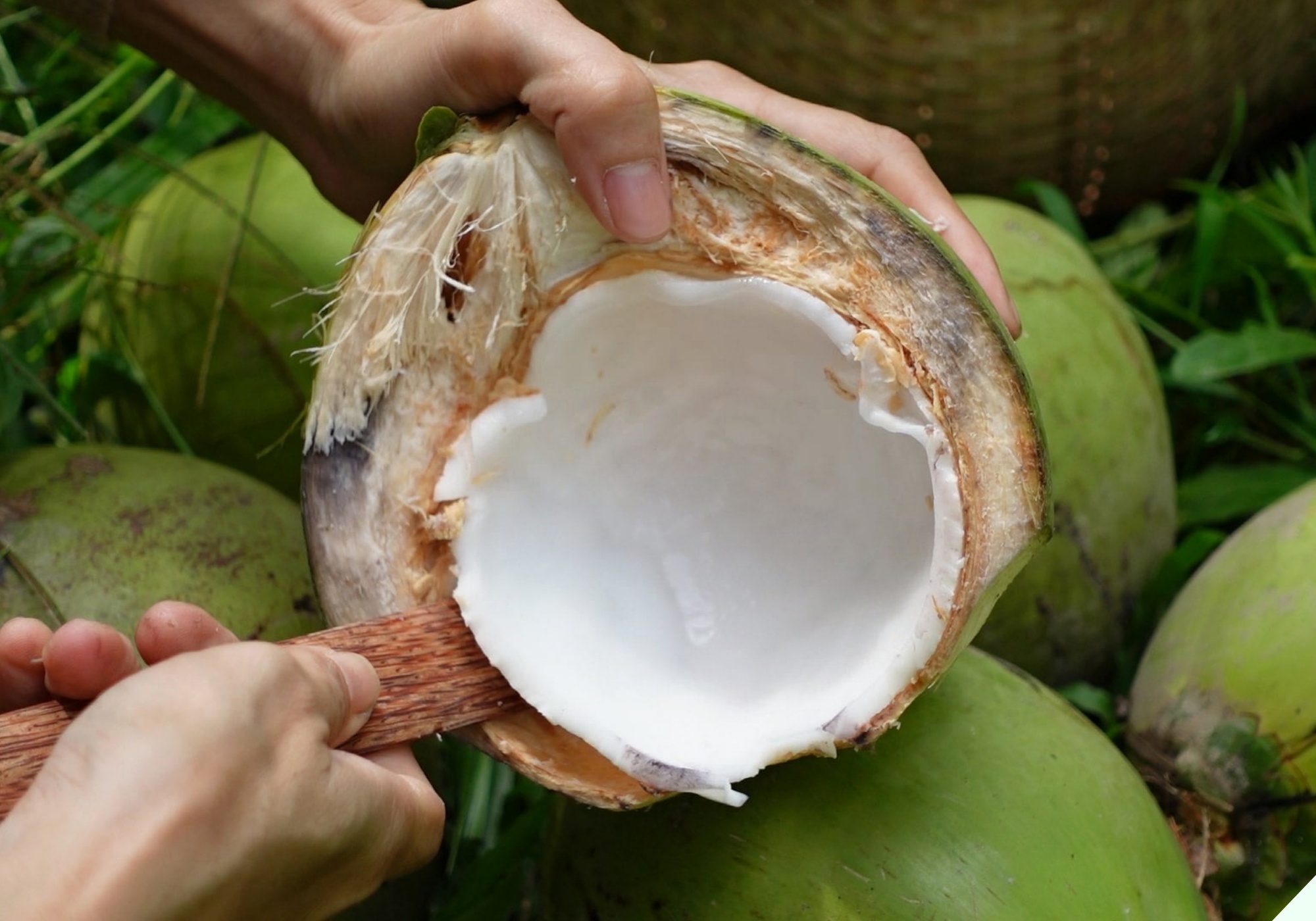 Làm mứt nhớ ngâm dừa vào thứ nước này, mứt dừa dẻo ngon, trắng đẹp không sợ bị chảy nước - 3