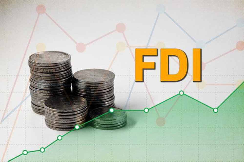 Dòng vốn FDI và sự phát triển của các thành phần kinh tế - 3