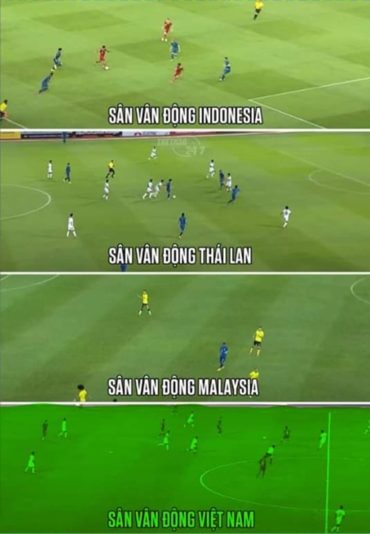 Giáo sư Xoay "gây sốt" với câu nói về mặt cỏ sân Mỹ Đình: "Thêm filter cho xanh" - 3