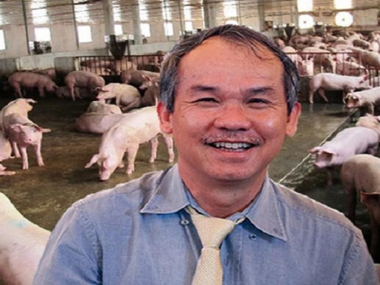 Heo ăn chuối mang về cho doanh nghiệp bầu Đức bao nhiêu tiền trong năm qua? - 2