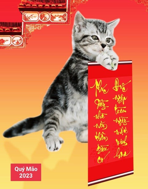Nguyễn Hiếu Tín với họa tự độc đáo về mèo - 6