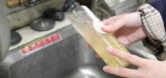 Gạo là “tiên dược” để trồng cây, rắc một nắm vào chậu, lá cả năm không vàng, mầm xanh bật ra - 3