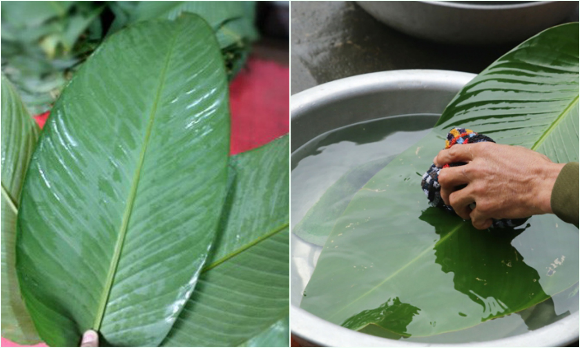 Luộc bánh chưng cứ cho “thuốc tiêu mặn” vào nồi, không cần chờ 12 tiếng bánh đã chín mềm, xanh mướt mắt - 4