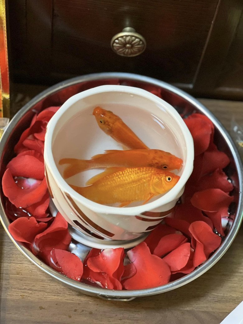 Nghệ sĩ Việt cúng ông Công ông Táo: Á hậu 5 con có mâm cúng đơn sơ, thích thú cảnh ông Tây đứng khấn - 6