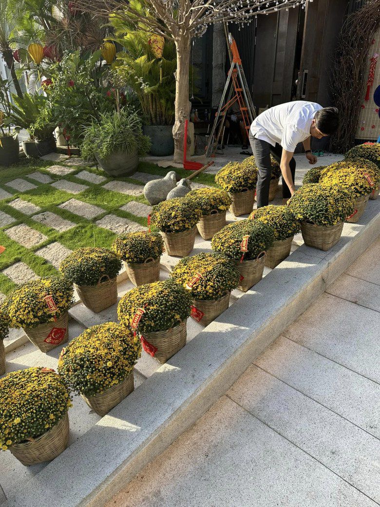 Cúc mâm xôi hút hàng dịp Tết, nhiều sao Việt cũng mua vài chậu về chưng, đây là lý do - 1