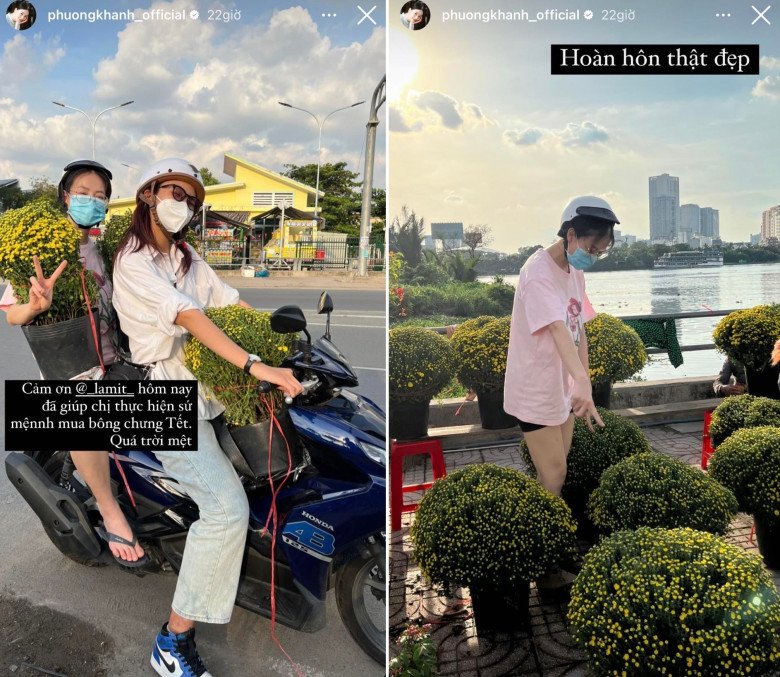 Cúc mâm xôi hút hàng dịp Tết, nhiều sao Việt cũng mua vài chậu về chưng, đây là lý do - 3