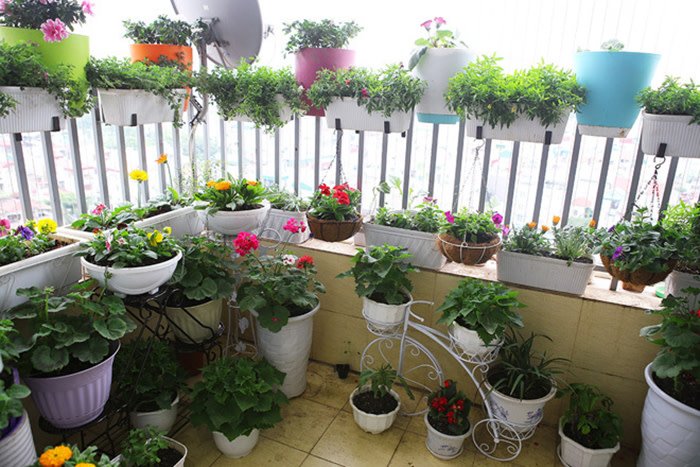 Đặt thứ này ở ban công chẳng khác gì đang đuổi khéo Thần Tài - 4