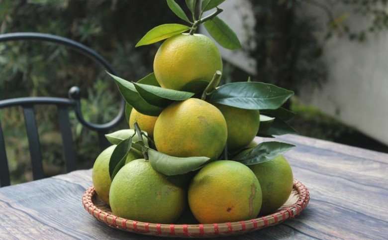 Tết thắp hương nhớ đặt 5 loại quả này trên bàn thờ, cả năm phát tài bình an - 4