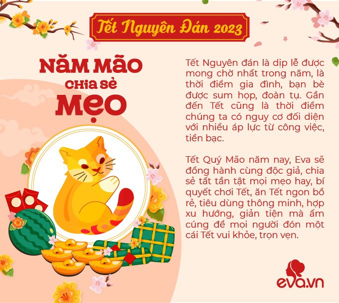 PV MC Thảo Vân - nữ MC 20 năm dẫn Táo Quân đêm giao thừa, hé lộ con trai có thể nối nghiệp truyền thông giống mẹ - 14