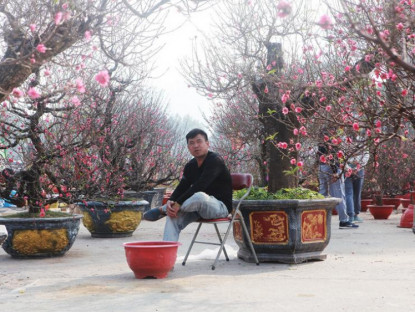 Xã hội - Ảnh: Xả lỗ vốn,  chợ hoa sáng 30 Tết vẫn ế ẩm