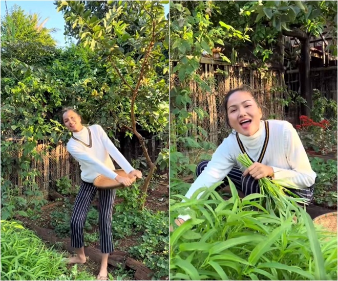 "Hoa hậu nghèo nhất Việt Nam" đội mẹt rau muống lên đầu về làm món dân dã, ước có tô cơm nóng "ngồi bốc ăn" - 1