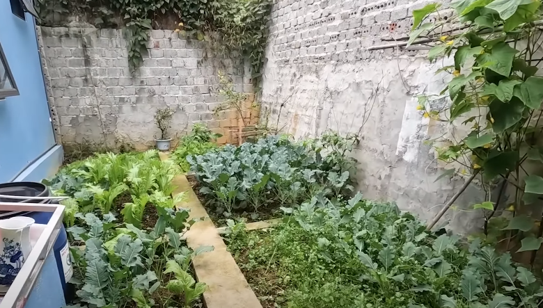 Bên trong ngôi nhà tiền tỷ ở Thanh Hóa của "cô gái trăm triệu khiến Trấn Thành phát cuồng" - 9