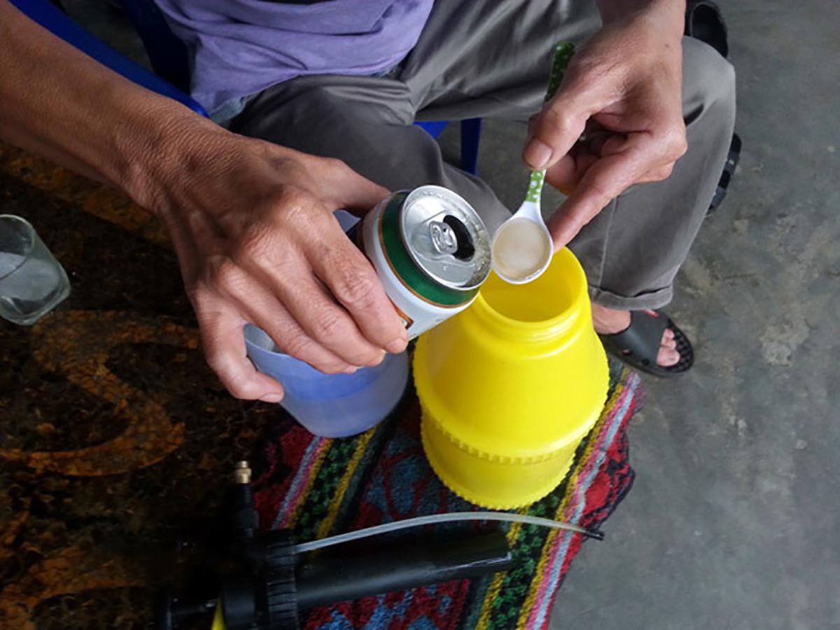 Cây kim tiền phát triển chậm, bỏ thêm 3 thứ “bảo bối” vào gốc, lá lên xanh mướt, lộc non tua tủa gọi lộc vào nhà - 2