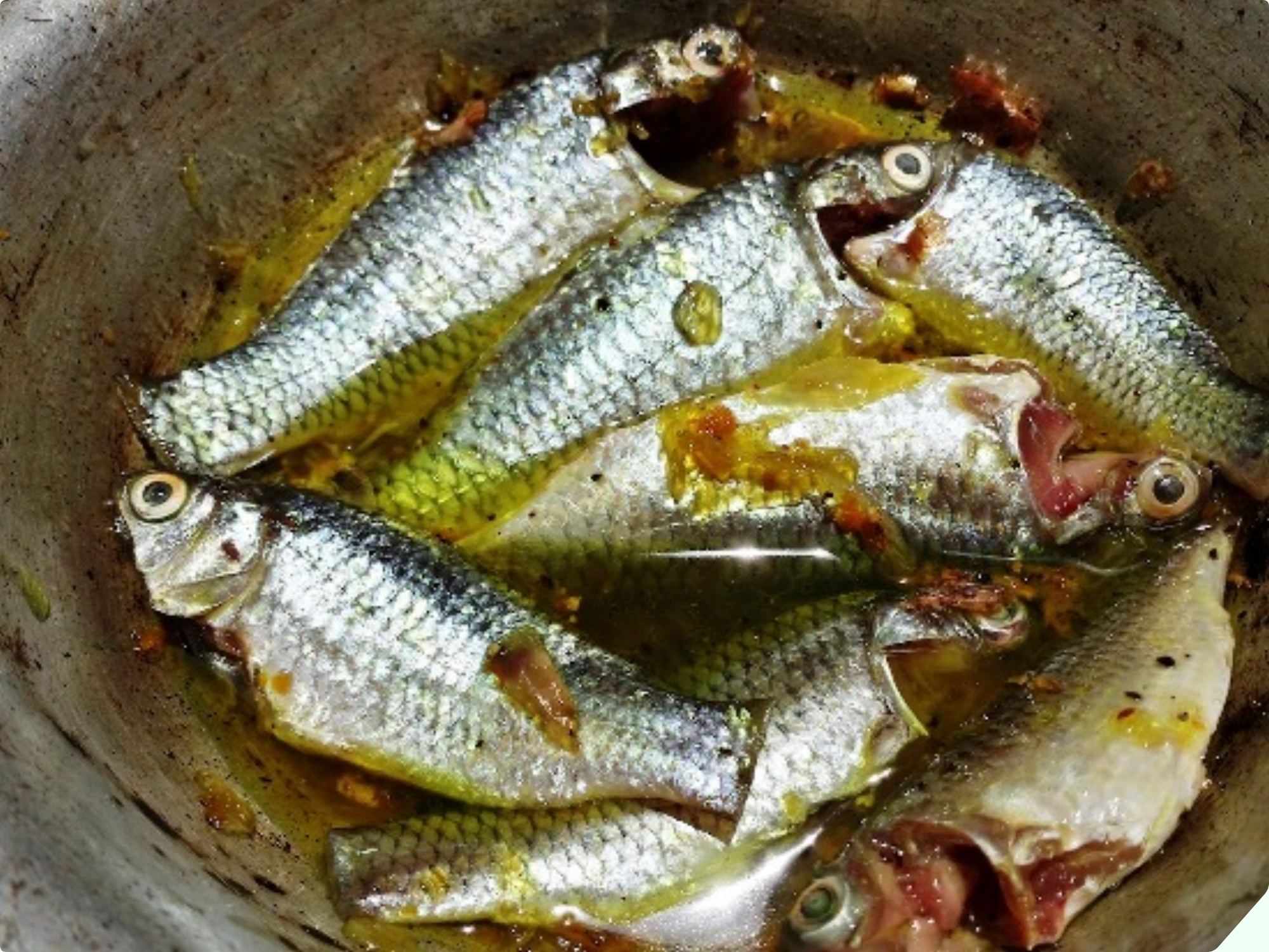 Loại cá từng thất sủng xưa chẳng ai ăn nay bán 90.000đ/kg, mua về kho với nghệ được món ngon &#34;tụt lưỡi&#34; - 4