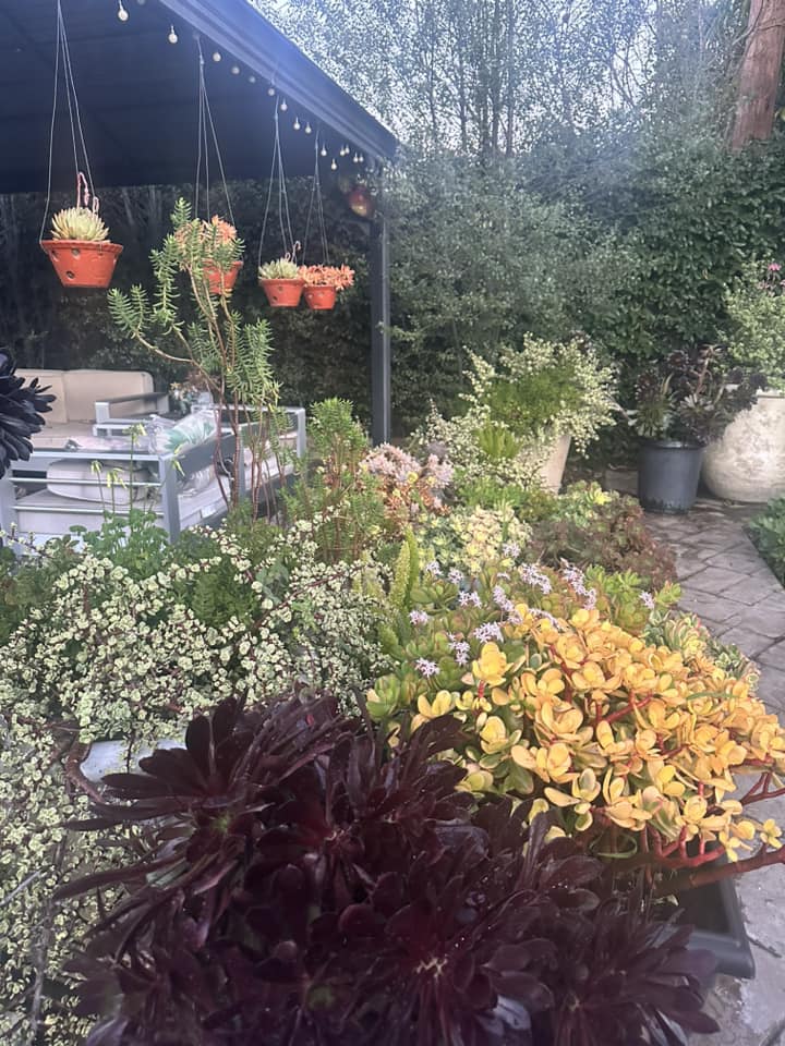 Cuộc sống của "Vua cá Koi" Thắng Ngô và vợ kém 13 tuổi sau gần 1 năm về chung nhà - 2