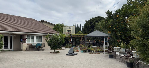 Cuộc sống của "Vua cá Koi" Thắng Ngô và vợ kém 13 tuổi sau gần 1 năm về chung nhà - 4