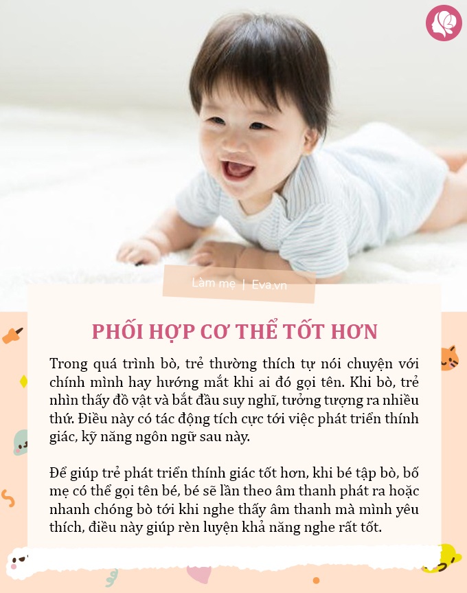 5 lợi ích khi trẻ tập bò, bé càng bò nhiều càng thông minh, IQ tăng lên mỗi ngày - 4